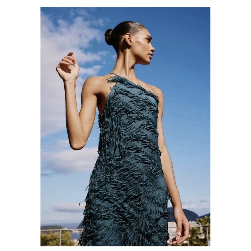 Zara Long Fringe Dress - Picture 12 of 15